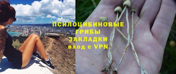 a pvp Абаза