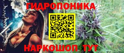 сатива Азнакаево