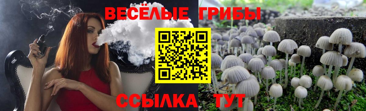 Ангарск  Псилоцибиновые грибы ЛСД  Вход с VPN 